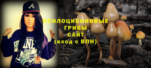 МДПВ Осинники