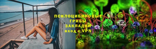 шишки Осташков