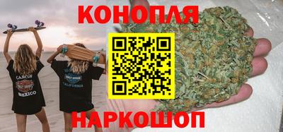 прущие грибы Камышлов