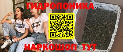 скорость Кандалакша