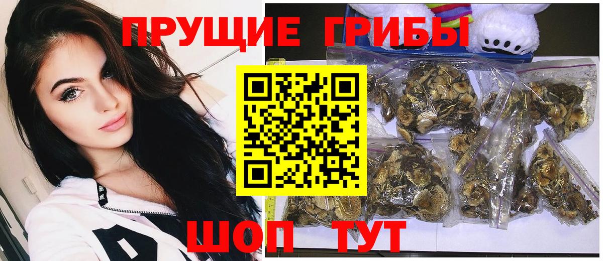 Галлюциногенные грибы Psilocybine cubensis Арзамас